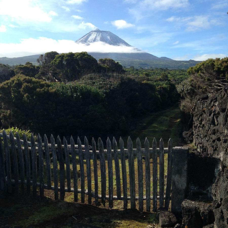 Maison d'hôtes Casa Da Lava à São Roque do Pico Extérieur photo